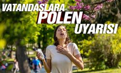 Uzmanlardan polen uyarısı