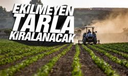 Bir yıl ekilmeyen tarla kiralanacak