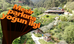 Mesir Tabiat Parkı ilgi gördü