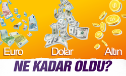 Dolar, Euro ve Altın ne kadar oldu?