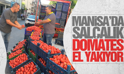 Salçalık domates fiyatları el yakıyor