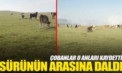 Manisa’da dehşet anları!