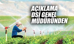 Manisa'da 460 bin dekar arazi sulanacak