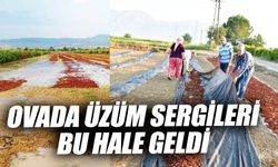 Manisalı üzüm üreticisi perişan