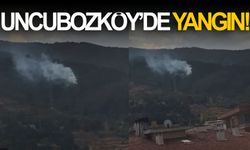 Uncubozköy'de orman yangını!