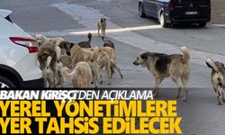 Bakan Kirişçi'den hayvan barınağı açıklaması