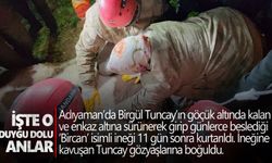 Günlerce enkaz altına sürünerek girip beslediği ineğine 11 gün sonra kavuştu