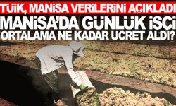 Tarım işçilerinin ortalama günlük ücretleri ne kadar oldu?