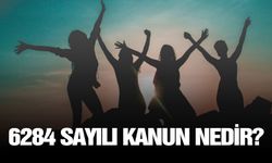 6284 sayılı kanun maddeleri nelerdir?