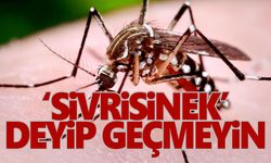 Aedes sivrisinek ısırığı nedir, nasıl geçer? Aedes sivrisinek ısırığı belirtileri nelerdir?