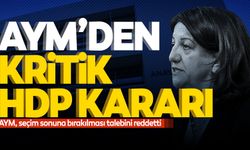 AYM’den kritik HDP kararı