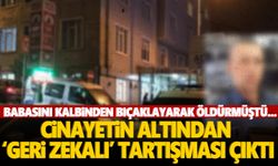 Babasını bıçaklayarak öldürmüştü… Cinayetin altından ‘hakaret’ tartışması çıktı!