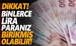 Dikkat! Birikmiş binlerce liranız olabilir! İşte biriken paraları geri alma yöntemleri...