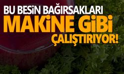 Bu besin bağırsakları makine gibi çalıştırıyor! Vücuttaki ödemi bir çırpıda yok ediyor…