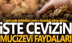 Cevizin faydaları şaşırtıyor! Cevizi suda 1 gece bekletip içerseniz…