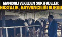 CHP'li Başevirgen: “Hayvancılığı şimdi de salgın hastalık vurdu”