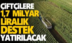 Çiftçilere yaklaşık 1,7 milyar liralık tarımsal destek ödemeleri bugün yapılacak