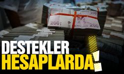 Destek ödemeleri hesaplara yatmaya başladı