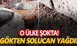 O ülke şokta! Gökten solucan yağdı! Görüntüyü izleyenler 'kıyamet geldi' yorumunu yapıyor