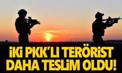 PKK terör örgütünden kaçan iki terörist daha teslim oldu   