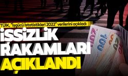 İşsizlik rakamları açıklandı