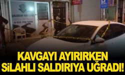 Kavgayı ayırmak isterken saldırıya uğradı!