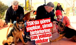 Manisa'da TSK'da gazi olan Engin Bakırtaş, yine TSK'dan emekli olan ‘Ateş' isimli köpeği sahiplendi