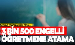 MEB 25 Nisan'da 3 bin 500 engelli öğretmenin atamasını yapacak