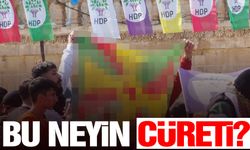 Nevruz kutlamasında PKK paçavrası açtılar