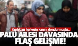 Palu ailesi davasında Yargıtay'dan yeni karar