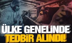 Şap hastalığı nedeniyle ülke genelinde tedbir alındı