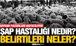 Şap hastalığı nedir, nasıl yayılır ve belirtileri nelerdir?