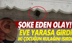 Şoke eden olay! Pencereye giren yarasa iki kardeşi ısırdı!