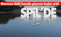 Spil Dağı Milli Parkı’ndaki göl göçmen kuşları ağırlamaya başladı