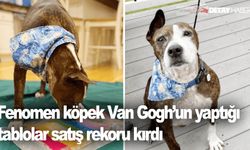 Fenomen köpek Van Gogh’un yaptığı tabloya rekor teklif