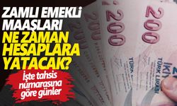 Zamlı emekli maaşları ne zaman yatacak? İşte tahsis numarasına göre emekli maaşı ödeme tarihleri…