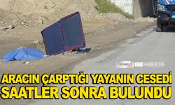 Aracın çarptığı yayanın cesedi saatler sonra bulundu