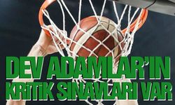 Basketbol Süper Ligi'nde son düzlüğe girildi