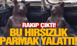 Parmak yalatan hırsızlık!