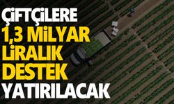 Çiftçilere yaklaşık 1,3 milyar liralık destek ödemeleri bugün yapılacak