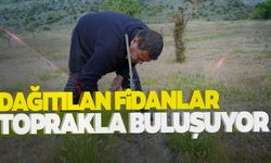 Fidanlar toprakla buluşmaya devam ediyor!