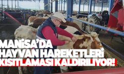 Manisa’da şap kısıtlaması kaldırılıyor!