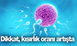 Uzman doktor DSÖ verileriyle uyardı: 6 kişiden 1’i kısırlık yaşıyor