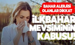 Bahar alerjisi ve deri hastalıklarına dikkat!