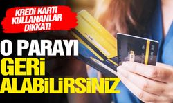 Kredi kartı kullananlar dikkat! e-Devlet’ten başvuru yaparak o parayı geri alabilirsiniz