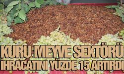 Kuru meyve sektörü ihracatını yüzde 15 artırdı