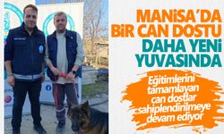 Bir can dost daha yeni yuvasına kavuştu