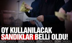 Oy kullanılacak sandıklar belli oldu... İşte seçmen sorgulama ekranı!