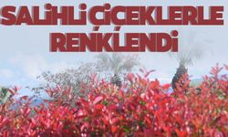 Burada adeta renk cümbüşü var! Salihli çiçeklerle renklendi!