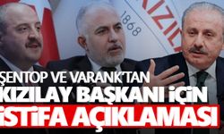 Şentop ve Varank’tan Kızılay Başkanı için ‘istifa’ mesajı